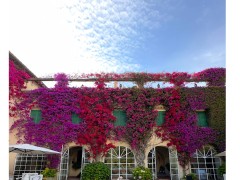 Torre San Severino - Dimora Storica per Matrimoni e Ricevimenti